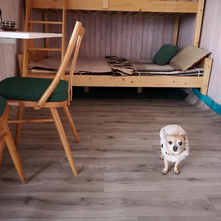 Romanticka So Saunou V Prirode 캠프장 Turany