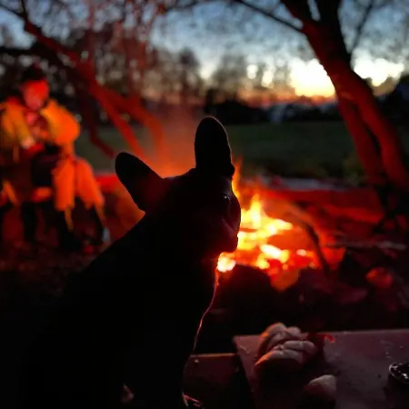 Romanticka So Saunou V Prirode Кемпинг