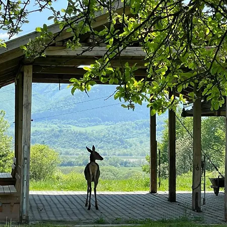 Romanticka So Saunou V Prirode Turany